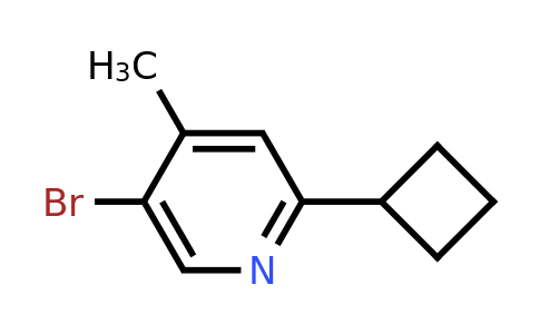 CAS 2138547-77-8 | 5-bromo-2-cyclobutyl-4-methylpyridine