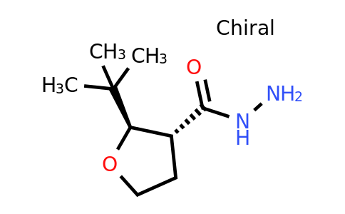 CAS 2140262-57-1 | rac-(2R,3R)-2-tert-butyloxolane-3-carbohydrazide