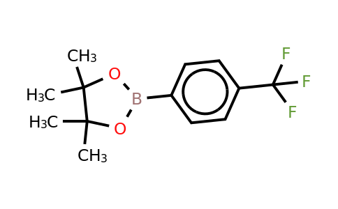 CAS 214360-65-3 | 4-Trifluoromethylphenylboronic acid, pinacol ester