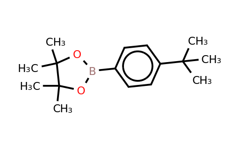 CAS 214360-66-4 | 4-Tert-butylphenylboronic acid, pinacol ester