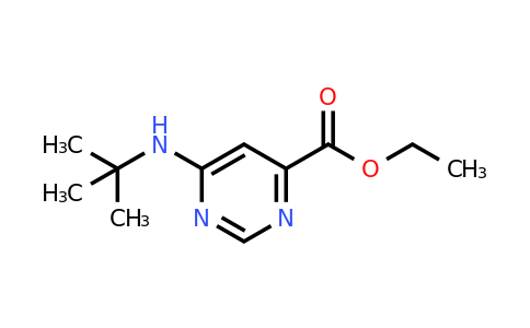 CAS 2153472-95-6 | Ethyl 6-(tert-butylamino)pyrimidine-4-carboxylate