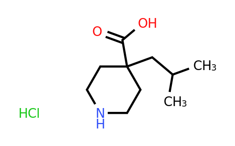 CAS 2155855-25-5 | 4-(2-methylpropyl)piperidine-4-carboxylic acid hydrochloride