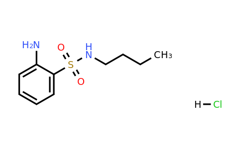 CAS 21639-11-2 | 2-Amino-N-butylbenzenesulfonamide hydrochloride