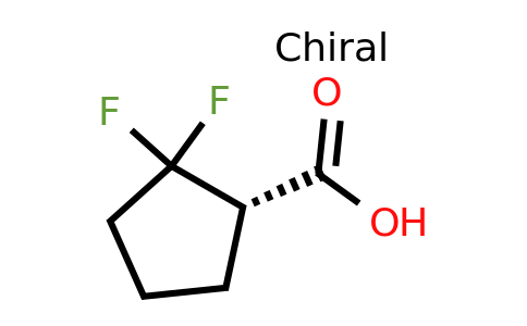 CAS 2166030-98-2 | (1S)-2,2-difluorocyclopentane-1-carboxylic acid