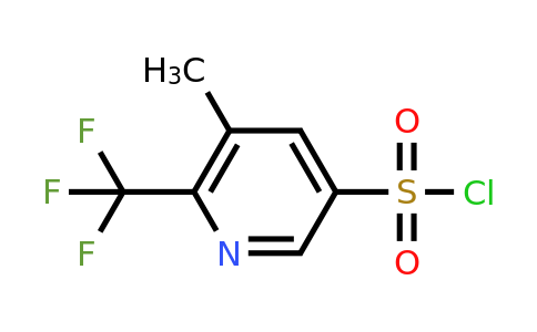 CAS 2166663-13-2 | 5-methyl-6-(trifluoromethyl)pyridine-3-sulfonyl chloride