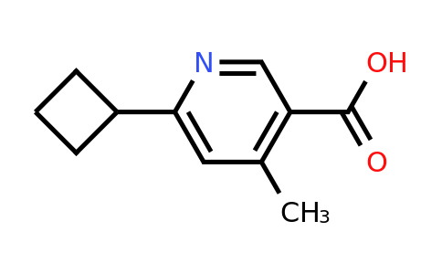 CAS 2167863-71-8 | 6-cyclobutyl-4-methylpyridine-3-carboxylic acid