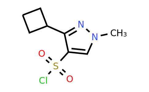 CAS 2169086-17-1 | 3-cyclobutyl-1-methyl-1H-pyrazole-4-sulfonyl chloride