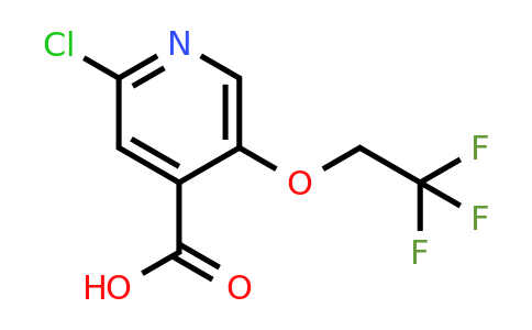 CAS 2169086-42-2 | 2-chloro-5-(2,2,2-trifluoroethoxy)pyridine-4-carboxylic acid