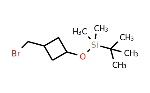CAS 2169182-97-0 | [3-(bromomethyl)cyclobutoxy](tert-butyl)dimethylsilane
