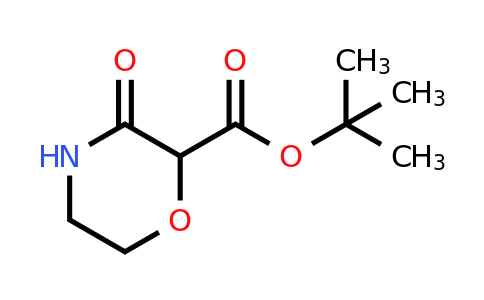 CAS 2169305-03-5 | tert-butyl 3-oxomorpholine-2-carboxylate