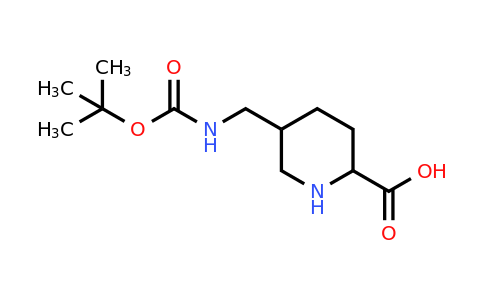 CAS 2169311-73-1 | 5-({[(tert-butoxy)carbonyl]amino}methyl)piperidine-2-carboxylic acid