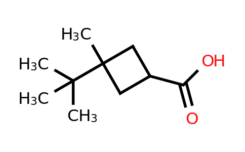 CAS 2169509-23-1 | 3-tert-butyl-3-methylcyclobutane-1-carboxylic acid