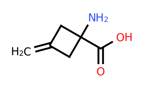1-amino-3-methylidenecyclobutane-1-carboxylic acid