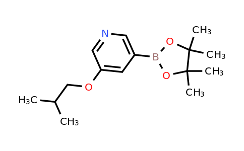 CAS 2170546-85-5 | 3-Isobutoxy-5-(4,4,5,5-tetramethyl-1,3,2-dioxaborolan-2-YL)pyridine