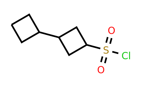 CAS 2172527-68-1 | 3-cyclobutylcyclobutane-1-sulfonyl chloride