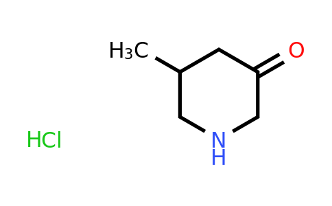 CAS 2172544-54-4 | 5-methylpiperidin-3-one hydrochloride