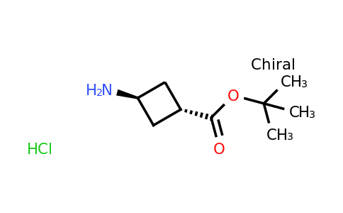 CAS 2173637-24-4 | tert-butyl trans-3-aminocyclobutane-1-carboxylate hydrochloride