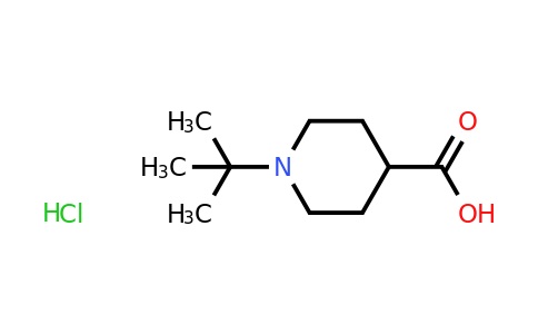 CAS 2173991-95-0 | 1-tert-butylpiperidine-4-carboxylic acid hydrochloride