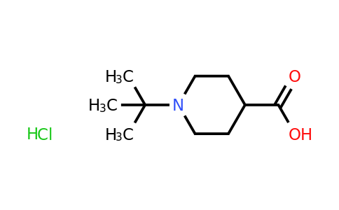 1-tert-butylpiperidine-4-carboxylic acid hydrochloride