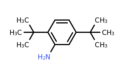 CAS 21860-03-7 | 2,5-Di-tert-butylaniline