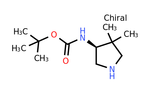 CAS 219323-14-5 | tert-butyl N-[(3S)-4,4-dimethylpyrrolidin-3-yl]carbamate