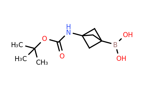 CAS 2195389-87-6 | [3-(tert-butoxycarbonylamino)-1-bicyclo[1.1.1]pentanyl]boronic acid