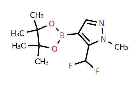 CAS 2197909-47-8 | 5-(difluoromethyl)-1-methyl-4-(tetramethyl-1,3,2-dioxaborolan-2-yl)-1H-pyrazole
