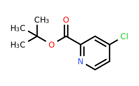 CAS 220000-86-2 | 4-Chloropyridine-2-carboxylic acid tert-butyl ester
