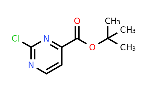 CAS 220041-42-9 | tert-Butyl 2-chloropyrimidine-4-carboxylate