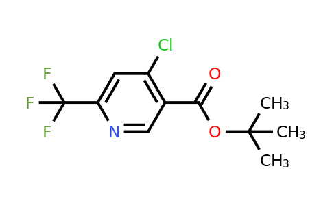 CAS 2206752-25-0 | tert-butyl 4-chloro-6-(trifluoromethyl)pyridine-3-carboxylate