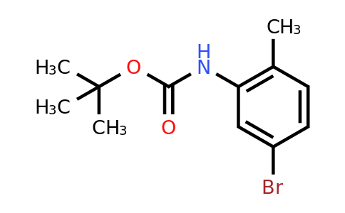 CAS 221538-07-4 | (5-Bromo-2-methyl-phenyl)-carbamic acid tert-butyl ester