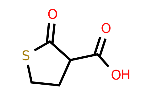 CAS 222046-78-8 | 2-oxothiolane-3-carboxylic acid