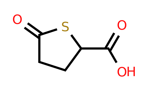 CAS 222046-90-4 | 5-oxothiolane-2-carboxylic acid