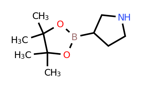 CAS 2223009-03-6 | 3-(4,4,5,5-tetramethyl-1,3,2-dioxaborolan-2-yl)pyrrolidine