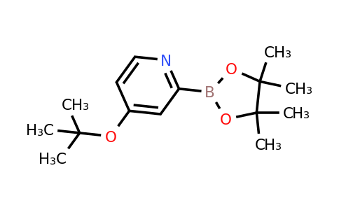 CAS 2223012-89-1 | 4-(Tert-butoxy)pyridine-2-boronic acid pinacol ester