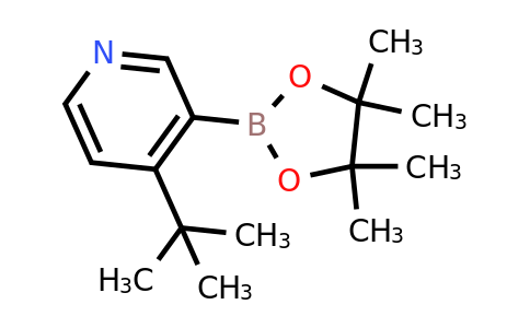 CAS 2223012-99-3 | 4-(Tert-butyl)pyridine-3-boronic acid pinacol ester