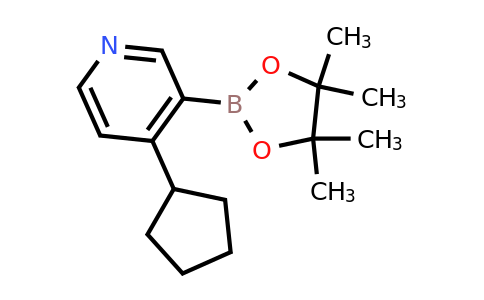 CAS 2223027-49-2 | 4-Cyclopentyl-3-(4,4,5,5-tetramethyl-1,3,2-dioxaborolan-2-YL)pyridine