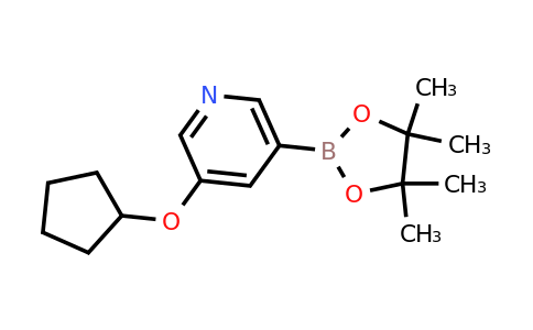 CAS 2223028-80-4 | 3-(Cyclopentyloxy)-5-(4,4,5,5-tetramethyl-1,3,2-dioxaborolan-2-YL)pyridine