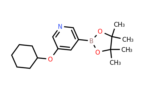 CAS 2223029-52-3 | 3-(Cyclohexyloxy)-5-(4,4,5,5-tetramethyl-1,3,2-dioxaborolan-2-YL)pyridine