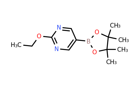 CAS 2223035-77-4 | 2-(Ethoxy)pyrimidine-5-boronic acid pinacol ester