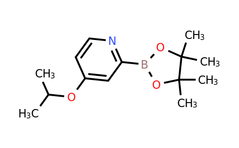 CAS 2223037-45-2 | 4-(Iso-propoxy)pyridine-2-boronic acid pinacol ester