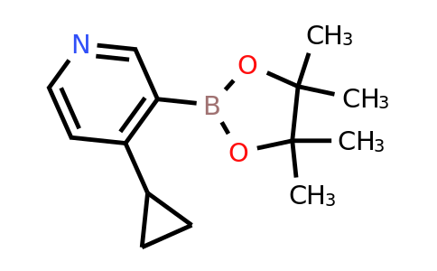 CAS 2223037-84-9 | 4-Cyclopropyl-3-(4,4,5,5-tetramethyl-1,3,2-dioxaborolan-2-YL)pyridine