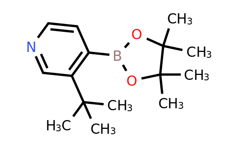 CAS 2223037-89-4 | 3-(Tert-butyl)pyridine-4-boronic acid pinacol ester