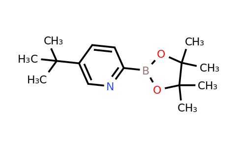 CAS 2223040-41-1 | 5-(Tert-butyl)pyridine-2-boronic acid pinacol ester