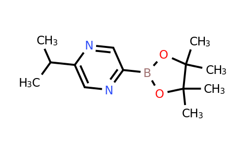 CAS 2223040-81-9 | 5-(Iso-propyl)pyrazine-2-boronic acid pinacol ester