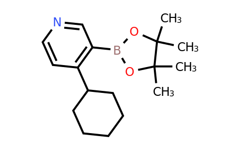 CAS 2223043-90-9 | 4-Cyclohexyl-3-(4,4,5,5-tetramethyl-1,3,2-dioxaborolan-2-YL)pyridine