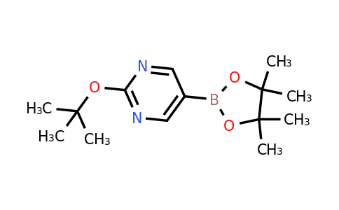CAS 2223044-16-2 | 2-(Tert-butoxy)-5-(4,4,5,5-tetramethyl-1,3,2-dioxaborolan-2-YL)pyrimidine