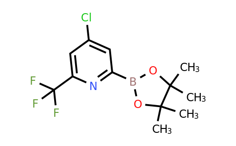 CAS 2223047-09-2 | 4-Chloro-2-(4,4,5,5-tetramethyl-1,3,2-dioxaborolan-2-YL)-6-(trifluoromethyl)pyridine