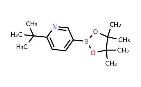 CAS 2223047-95-6 | 6-(Tert-butyl)pyridine-3-boronic acid pinacol ester