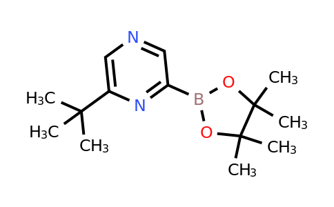 CAS 2223049-63-4 | 6-(Tert-butyl)pyrazine-2-boronic acid pinacol ester
